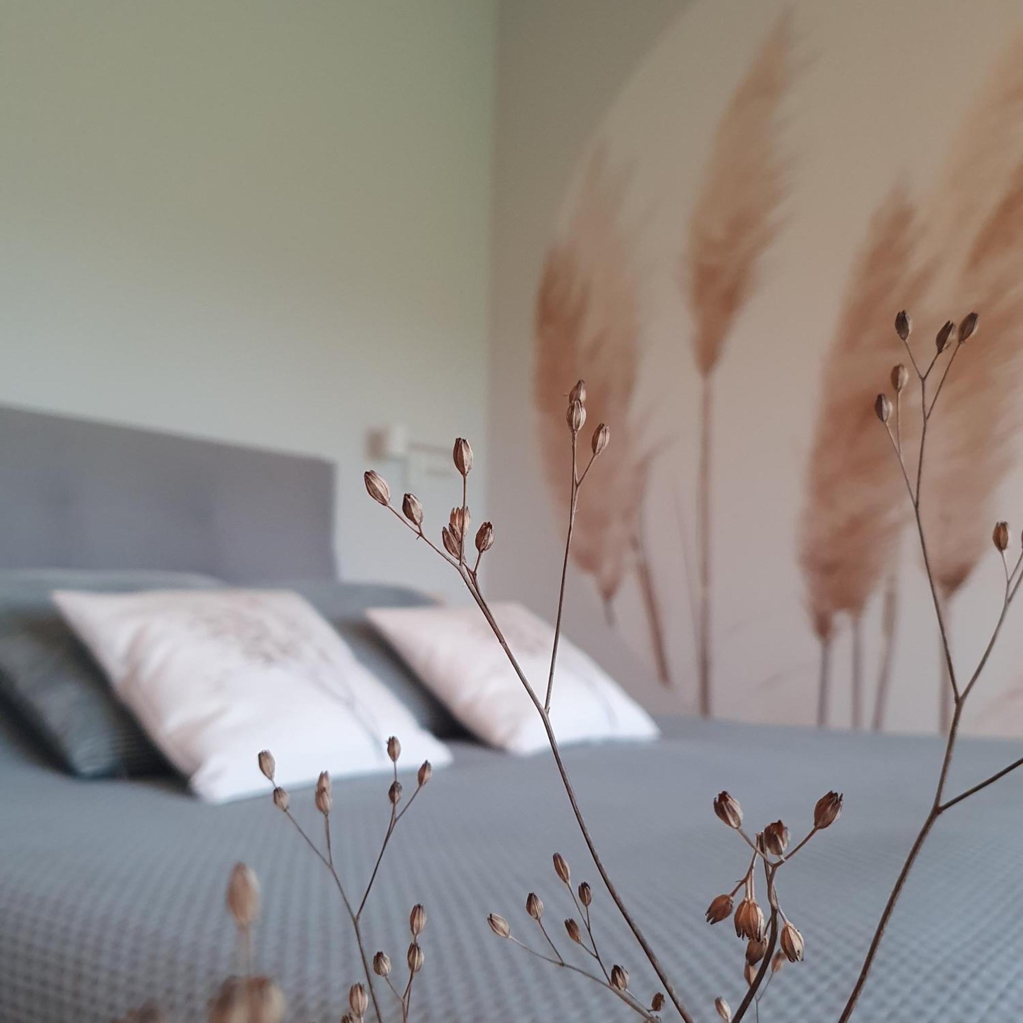 Hippe Schuur Bed and Breakfast Tytsjerk Eksteriør billede